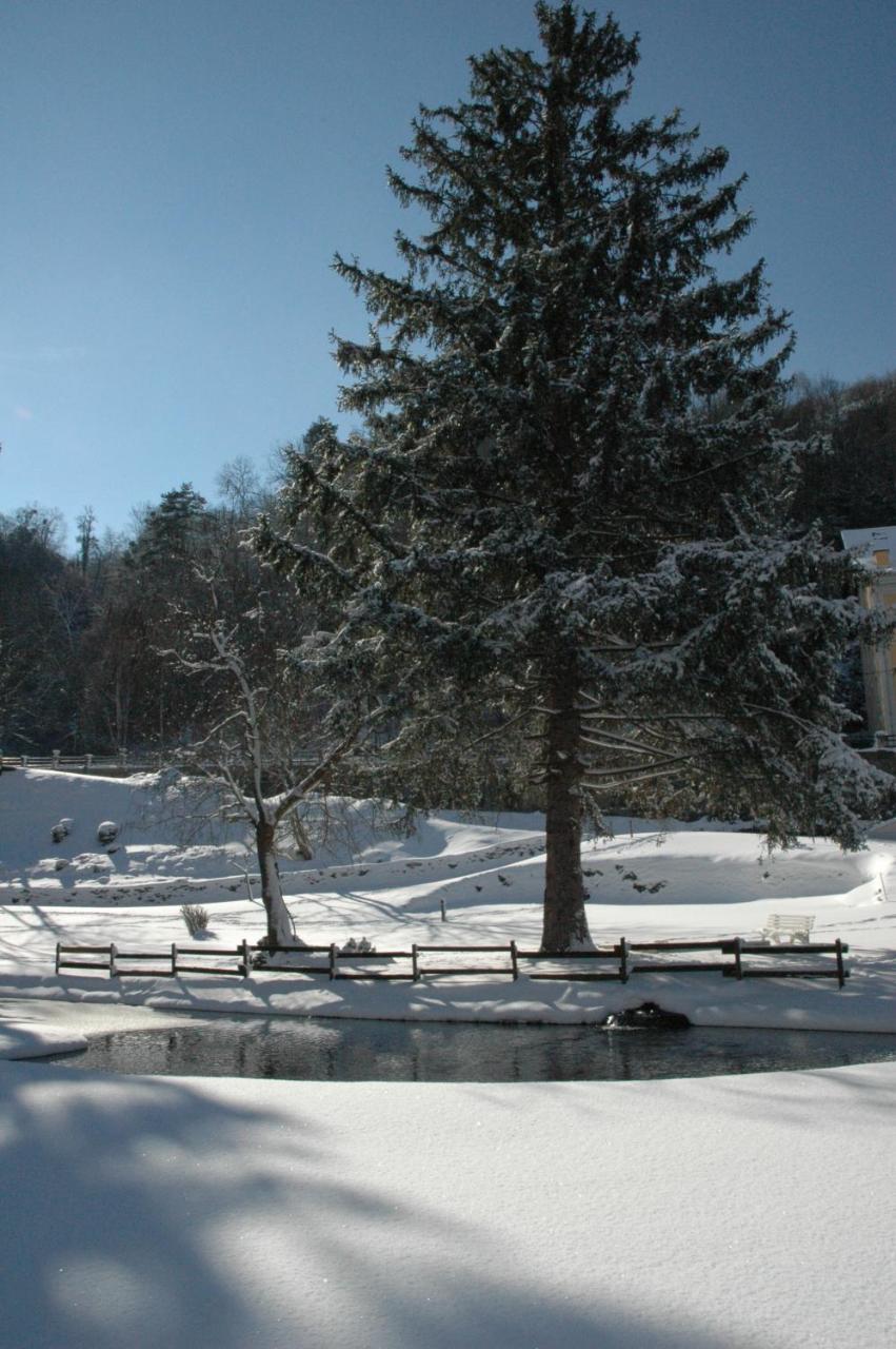 Appart Le Chili- Quartier Thermal- Parc Remarquable - Linge Fourni Люс-Сен-Совёр Экстерьер фото